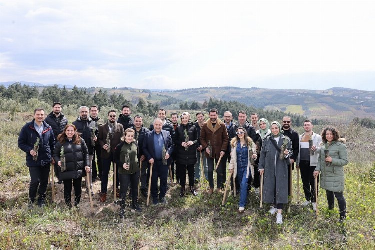 40 bini Bursa'da 100 bin fidanlı orman yeşertiliyor