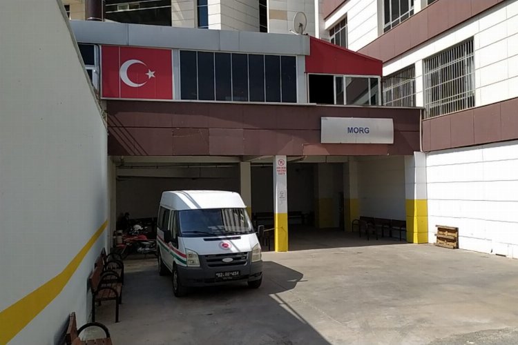 Adıyaman'da kayısı ağacından düşen çocuk hayatını kaybetti