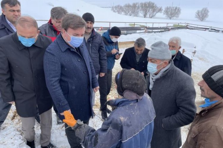 Aksaray'da ağılın çatısı çöktü! 30 koyun telef oldu!