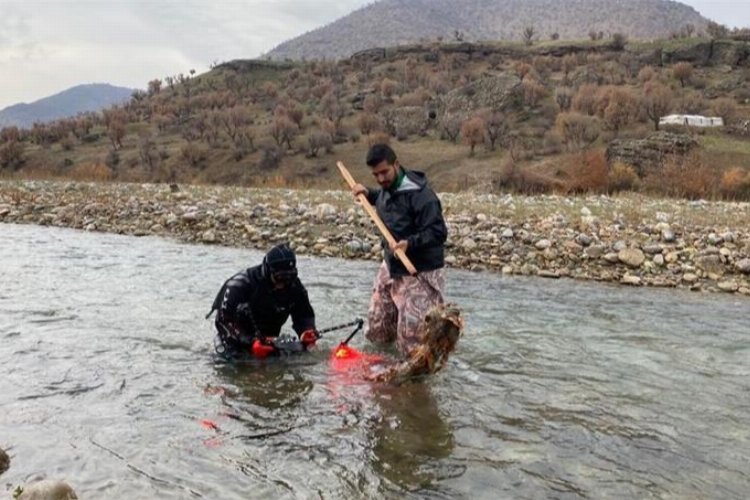 'Batman Çöpçü Balığı' için Sason Çayı temizleniyor