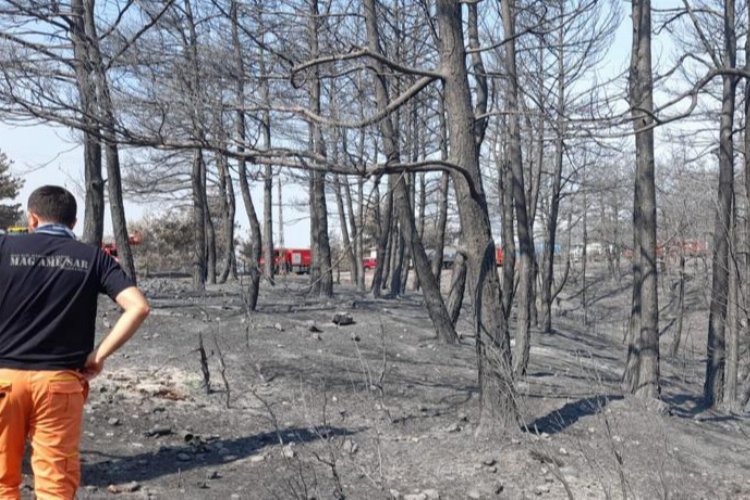 Beylikdüzü'nden Çanakkale'ye takviye