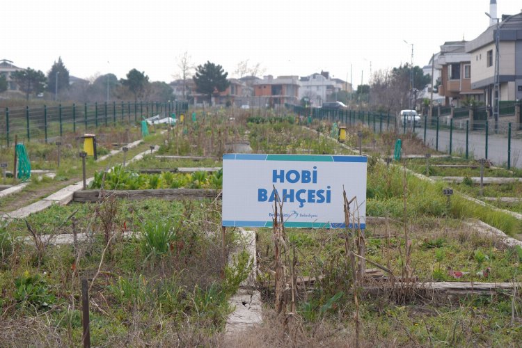 Beylikdüzü'nün 'hobi bahçeleri'nde kura heyecan