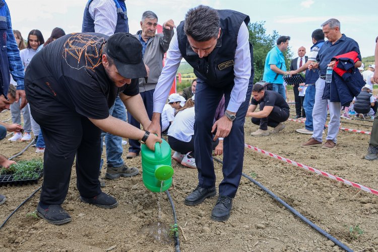 Bilecik Bozüyük'te fideler ilk can suyu Vali Aygöl'den