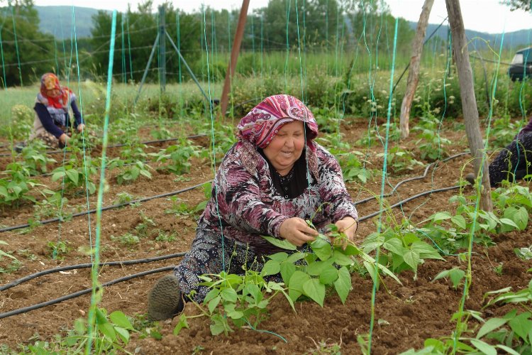 Bilecik Pazaryeri'nde 'Boncuk Fasulyesi'nde iplikleme mesaisi