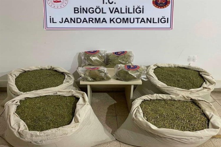 Bingöl’de 145 kilogram esrar ele geçirildi