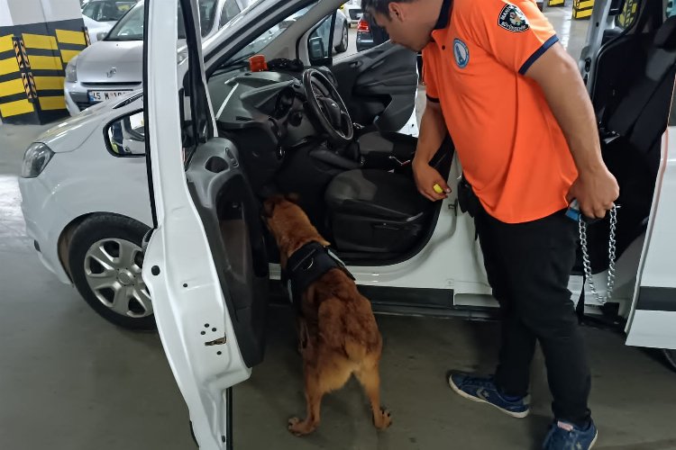 Bomba arama köpeği 'Niobe' göreve hazır