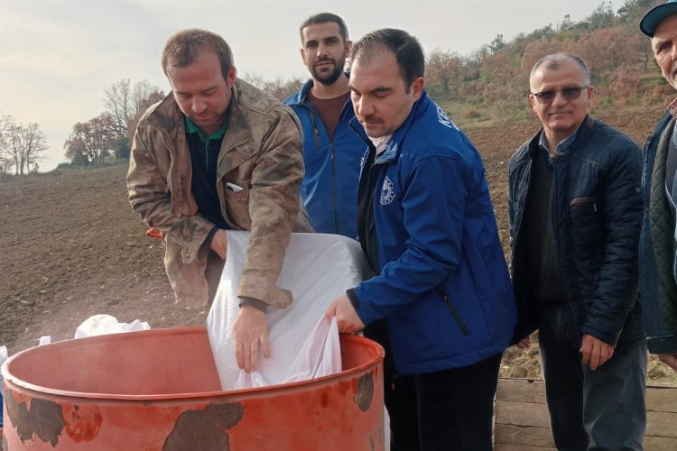 Bursa'da atıl topraklar buğday desteğiyle hayat buluyor