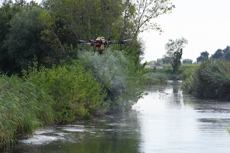 Bursa'da drone ile sinek avı