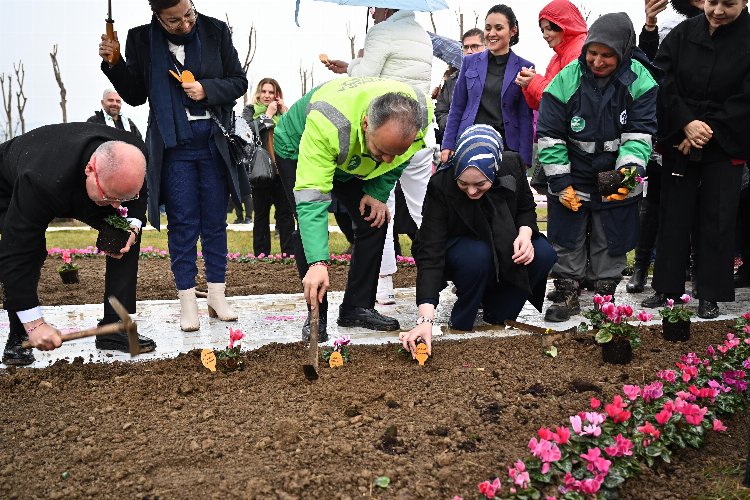 Bursa'da erguvan fidanları toprakla buluştu