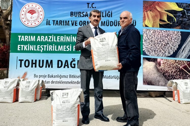 Bursa'da İrfaniyeli üreticilere ayçiçeği tohumu desteği