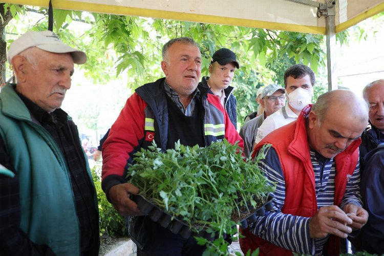 Bursa Gemlik'te Ata tohumları hayata dönüşüyor