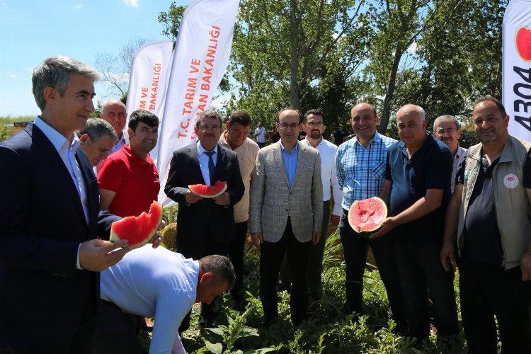 Bursa Karacabey'de karpuz hasadı