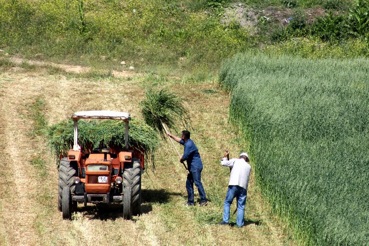 Bursa Mudanya'da çiftçilere ÇKS uyarısı