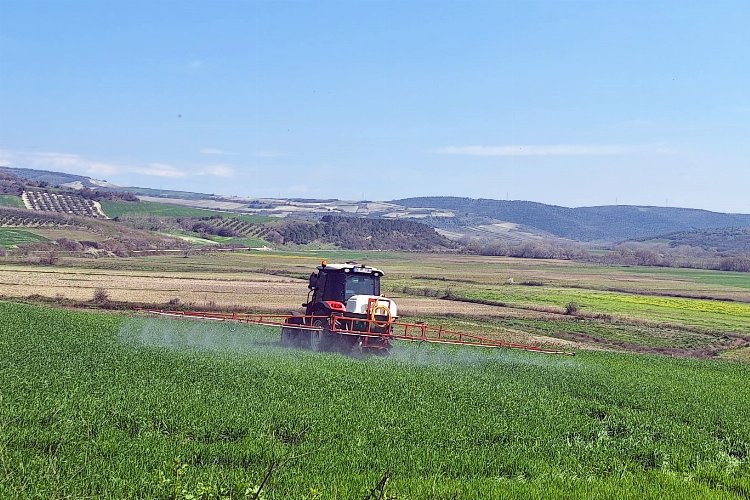 Bursa Mudanya'da süneyle kimyasal mücadele başladı