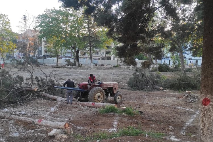 Bursa Yenişehir'de Millet Bahçesi'nde kontrollü katliam!