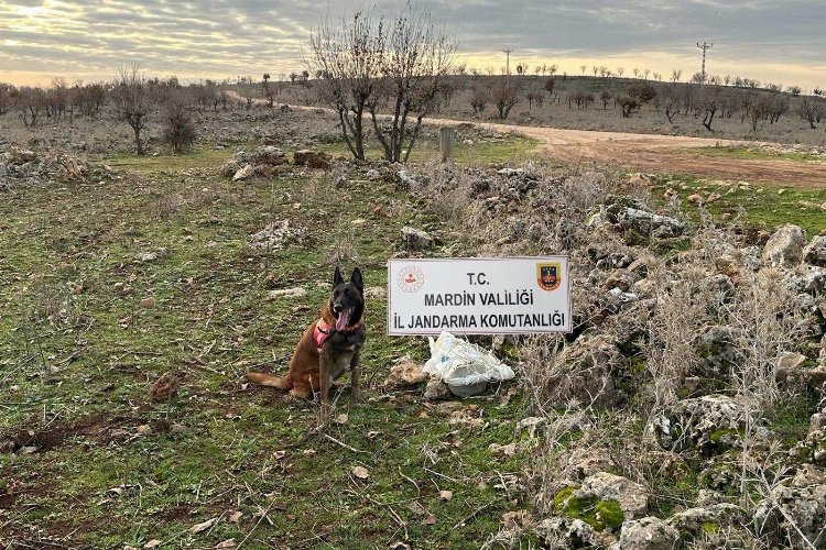 Dargeçit'te 25 kg tuzaklanmış patlayıcı ele geçirildi