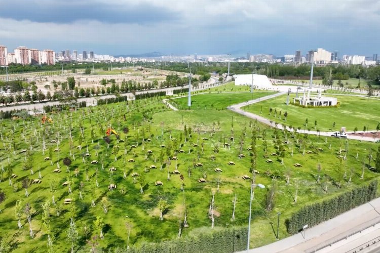 Dev park gün sayıyor