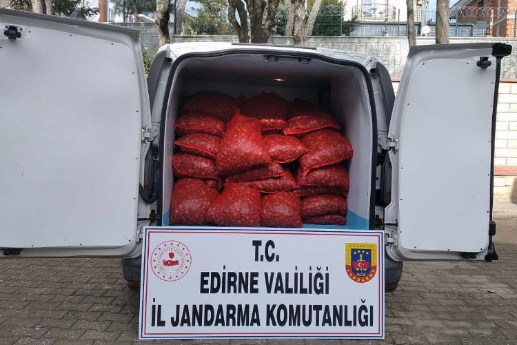 Edirne'de 1 ton kaçak kum midyesi!