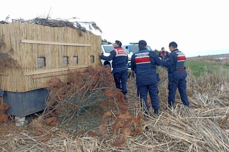 Edirne Jandarması'ndan yasak avcılık operasyonu!