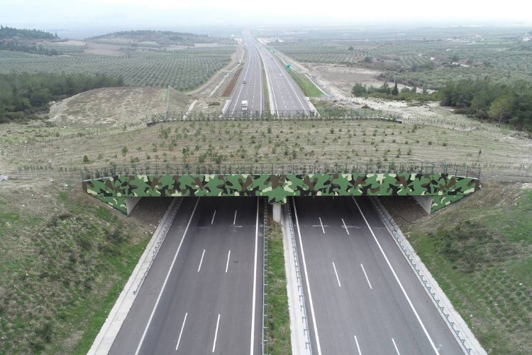 'Ekolojik Köprü'ler yaygınlaşıyor