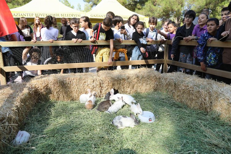 Gaziantep'ten 4 Ekim farkındalığı