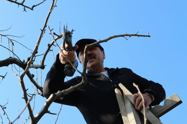 Gürsu'nun tarımına 'bağımsız' vizyon getirecek... Şefikoğlu'nun vizyonsal tarım projeleri