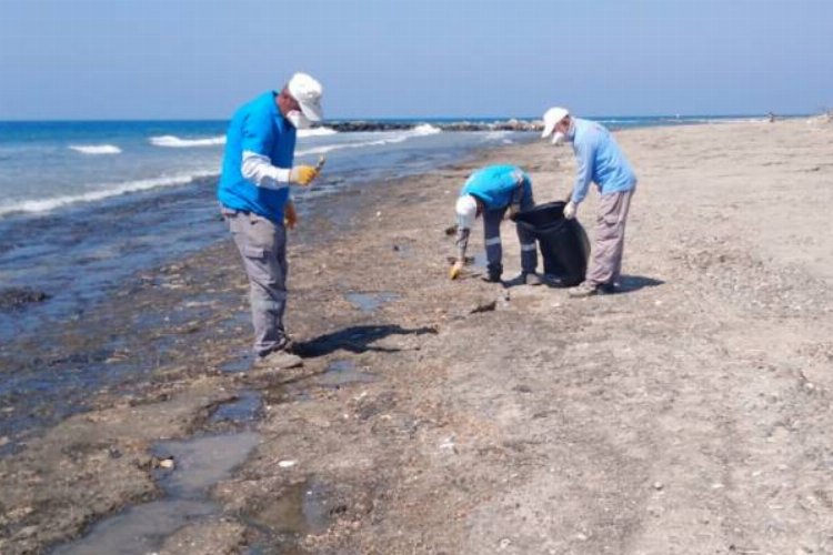 Hatay sahillerinde temizlik çalışmalarına aralıksız devam