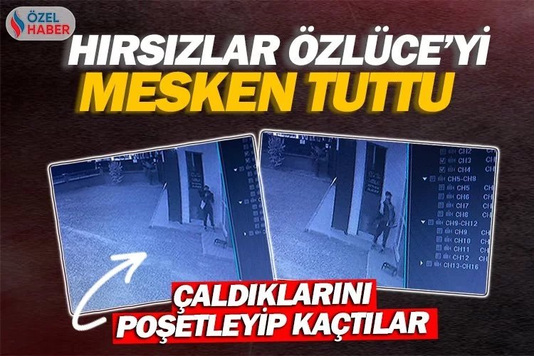 Hırsızlar Özlüce'yi mesken tuttu