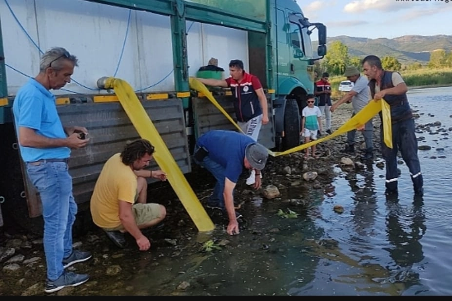 İpsala'dan Bursa’ya 3 milyon 350 bin yavru sazan