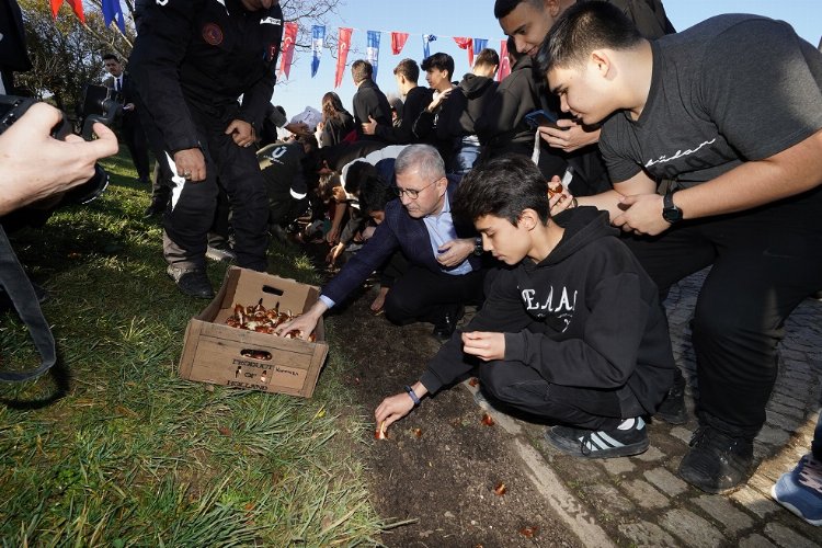 İstanbul'da laleler Üsküdar'da toprakla buluştu