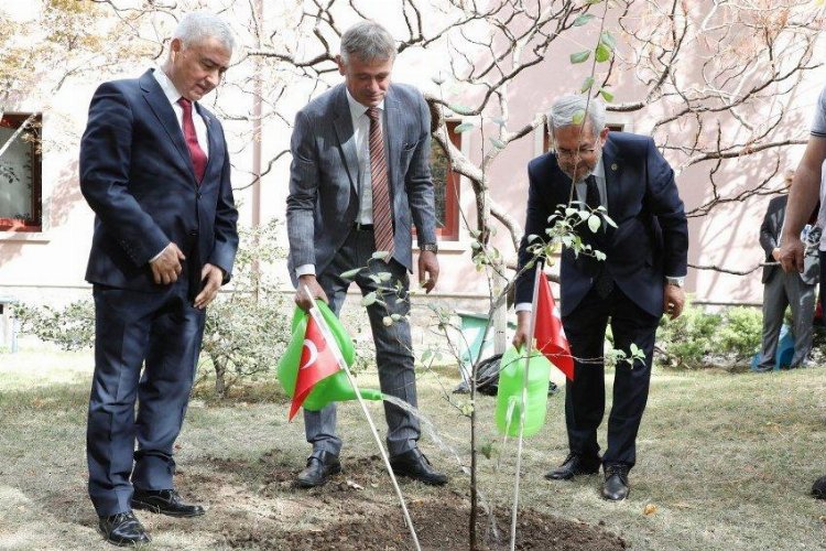 İsviçre'nin fidanı Ankara'da yeşerecek