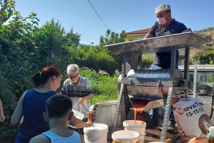 İzmir Efes Selçuk'ta salça zamanı... 