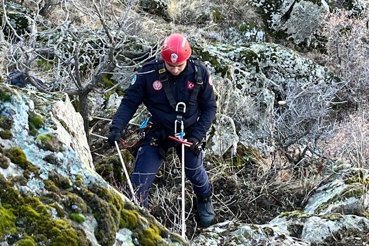 Kayseri Büyükşehir'den 'keçi' operasyonu