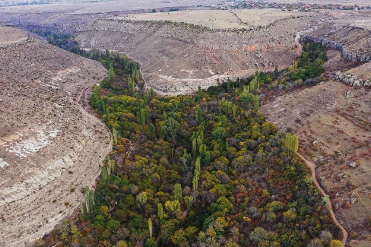 Kayseri Büyükşehir'den Koramaz Vadisi'ne özel çalışma