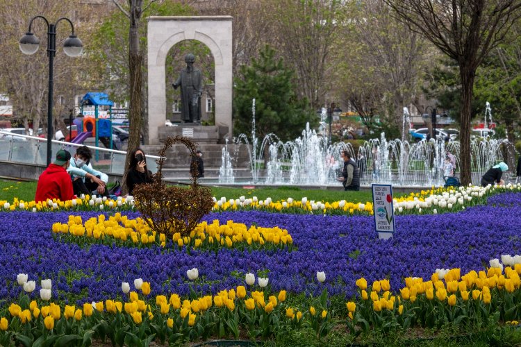 Kayseri Büyükşehir'den 'yeşil' atılım