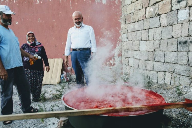 Kayseri Kocasinan'da dağıtılan fideler salça oldu