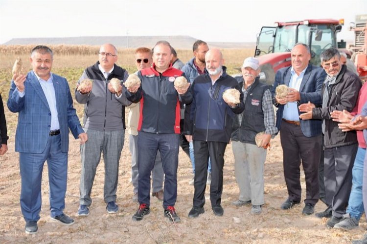 Kayseri Kocasinan'da şeker pancarı hasadı yapıldı