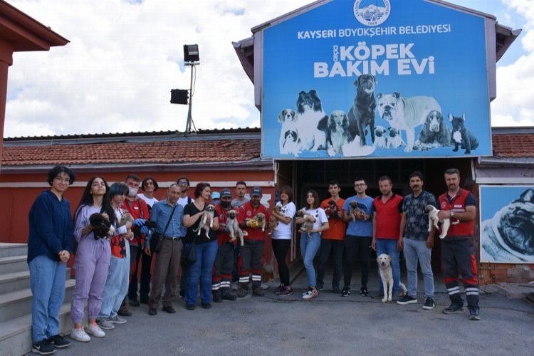 Kayseri Kocasinan'dan gençlere hayvan sevgisi aşılanıyor