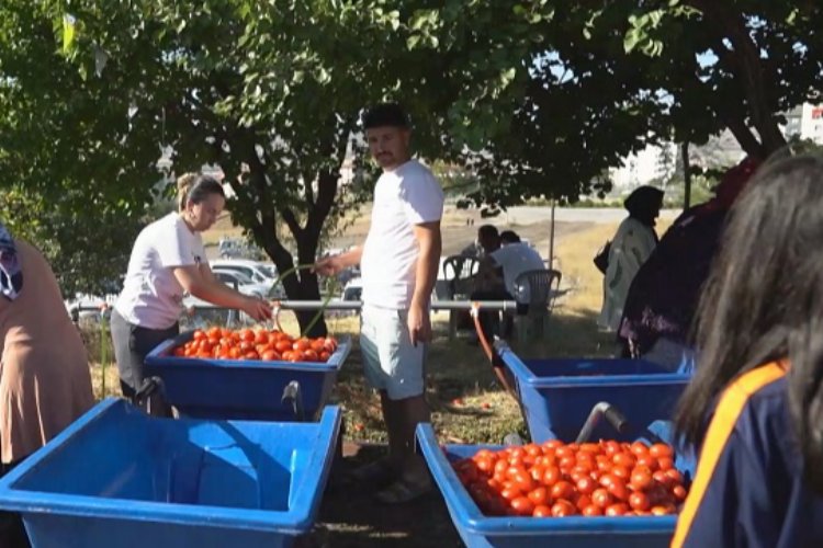 Kayseri Melikgazi'de Salça Kaynatma Günleri başladı