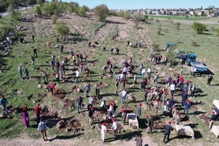 Kayseri Talas'ta fidan etkinliği