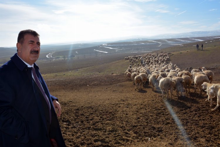 Küçükbaş yetiştiricileri için önemli fırsat