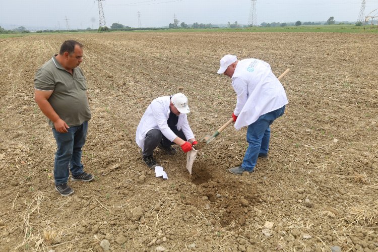 Kocaeli'de çiftçilere ücretsiz toprak analizi