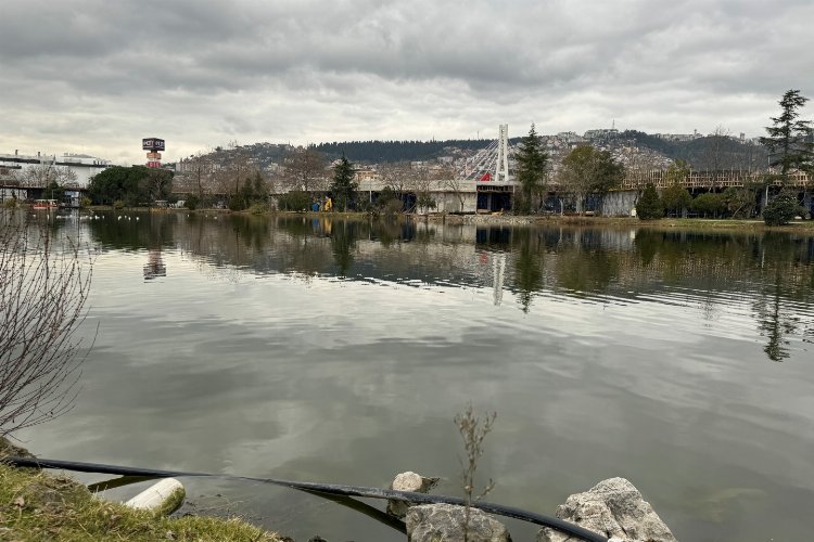 Kocaeli'de 'Millet'in göletinde ekosistem gelişecek