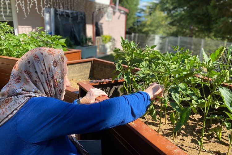 Kocaeli İzmit''te Alzheimer Yaşam' çiçek gibi oldu