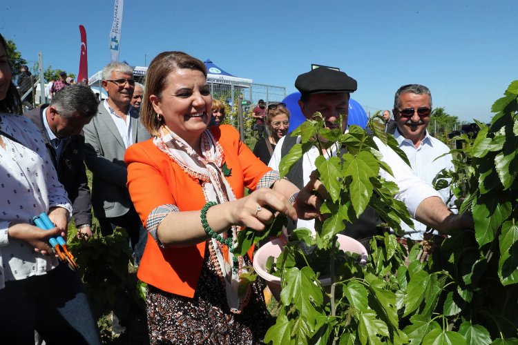 Kocaeli İzmit Belediyesi İpek Böceği Besleme Evi’ni hizmete açtı