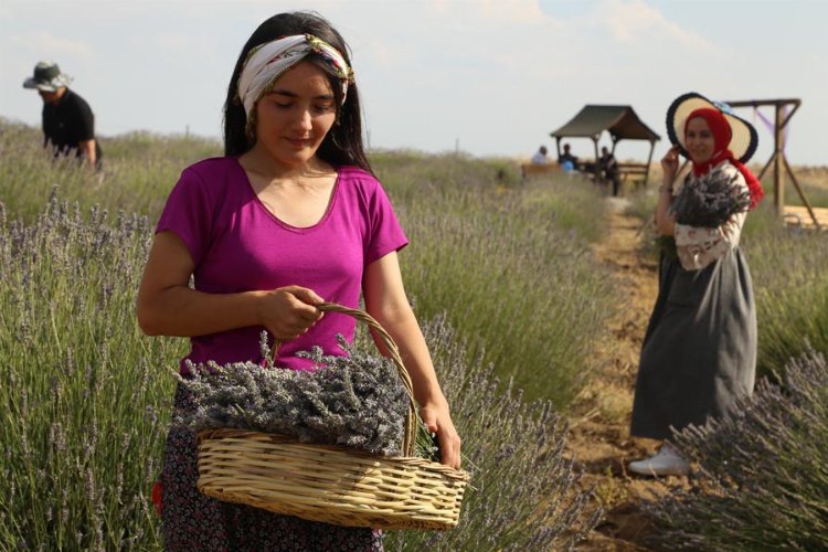 Malatya Arguvan'ın güzellikleri objektiflere yansıdı