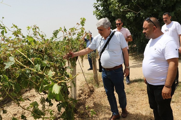 Manisa Büyükşehir ve Alaşehir Belediyeleri afetzedelerin yanında