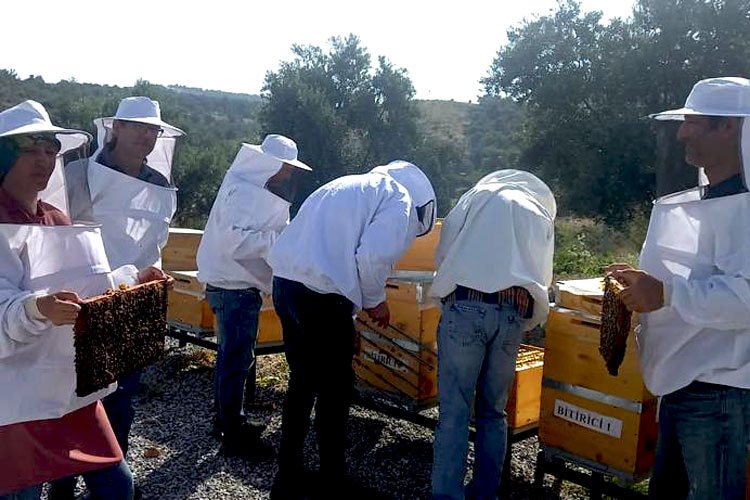 Manisa'da arıcılık eğitiminde yeni dönem