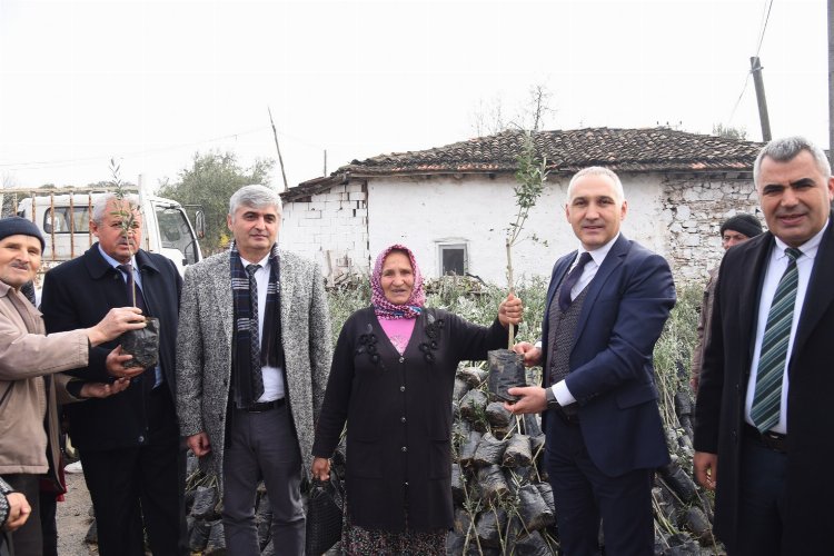 Manisa'da tarım arazisi yanan üreticilere fidan desteği