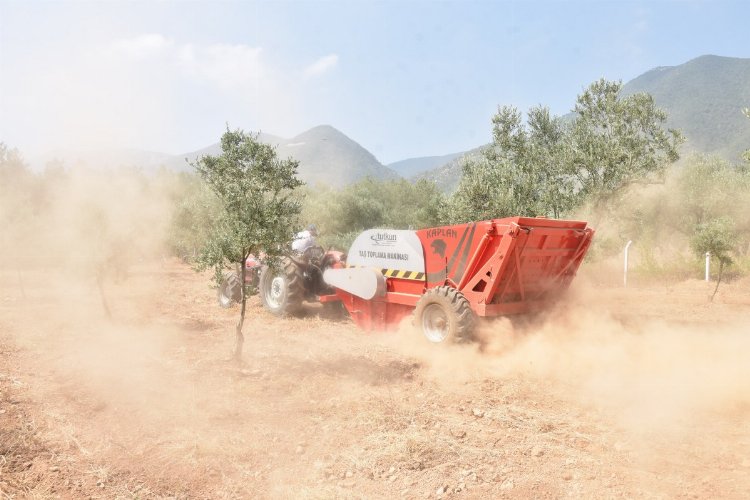 Manisa'nın taşlı arazileri verimli tarlalara dönüşüyor